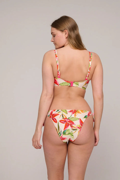 PrimaDonna Tanzania Bikini Briefs Brazilian